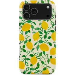 Burga Tough Back Cover Hülle mit MagSafe für Apple iPhone 17 Pro Max - Capri